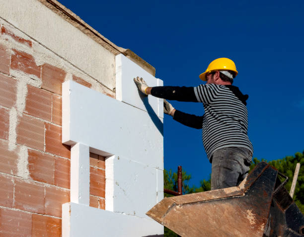 Best Home Insulation Services  in Bloomington, TX