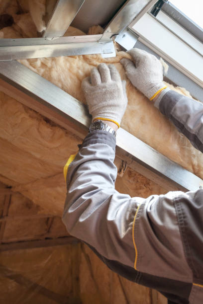 Best Cellulose Insulation  in Bloomington, TX